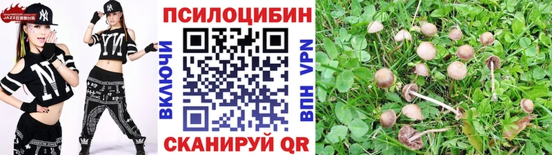 дарнет шоп  Устюжна  Псилоцибиновые грибы прущие грибы 